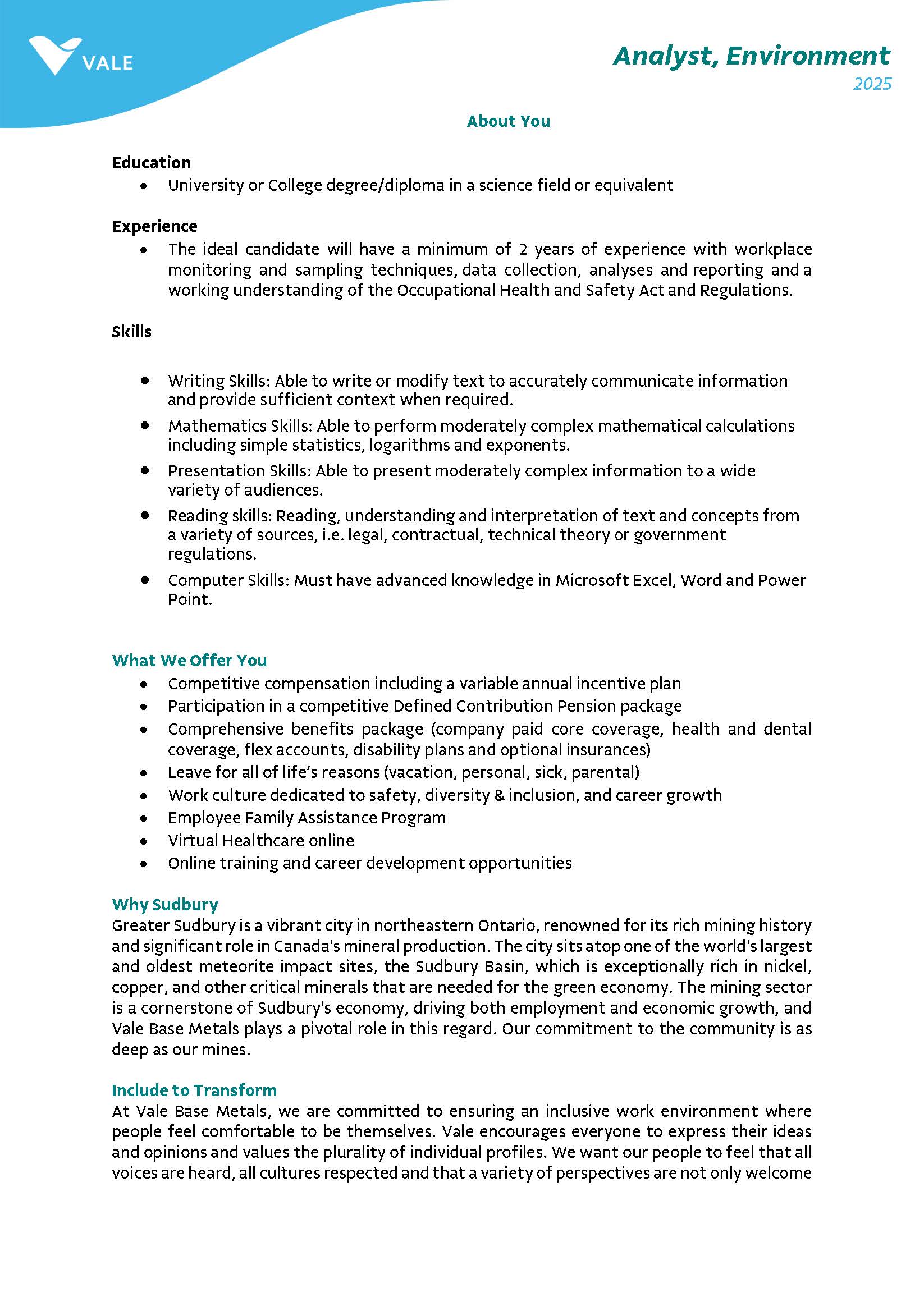 Job Posting Analyst Environment Page 2