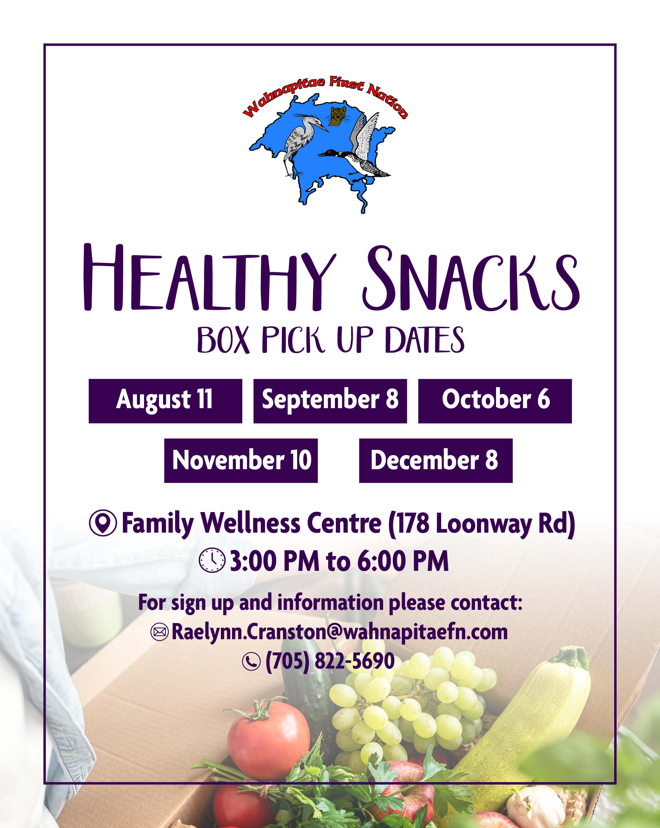 Healthy Snacks Bins