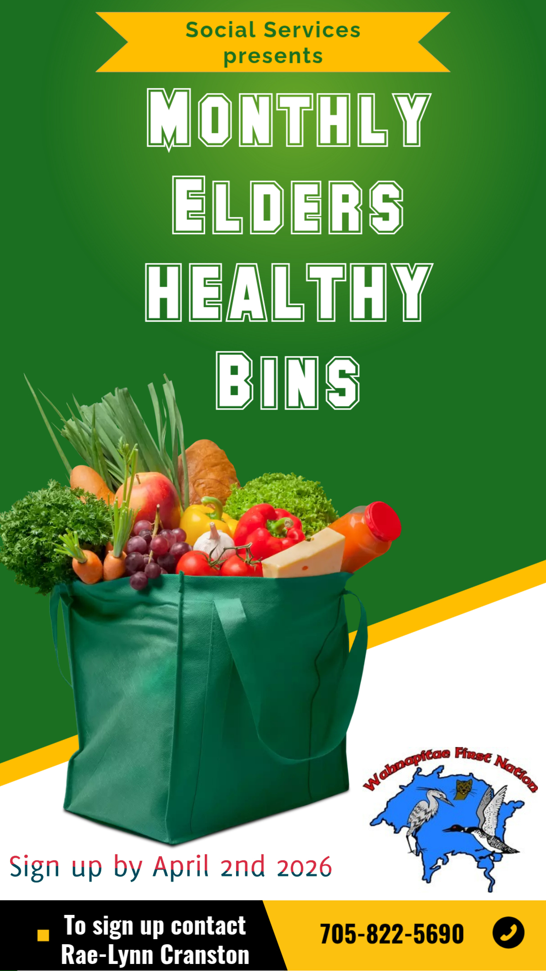 Flyer: Elder's Healthy Bins